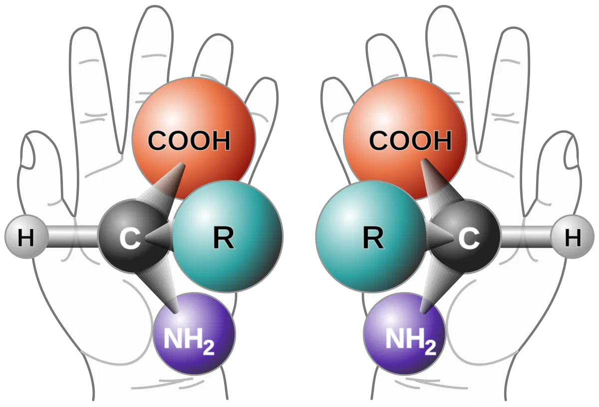 Chirality analogy